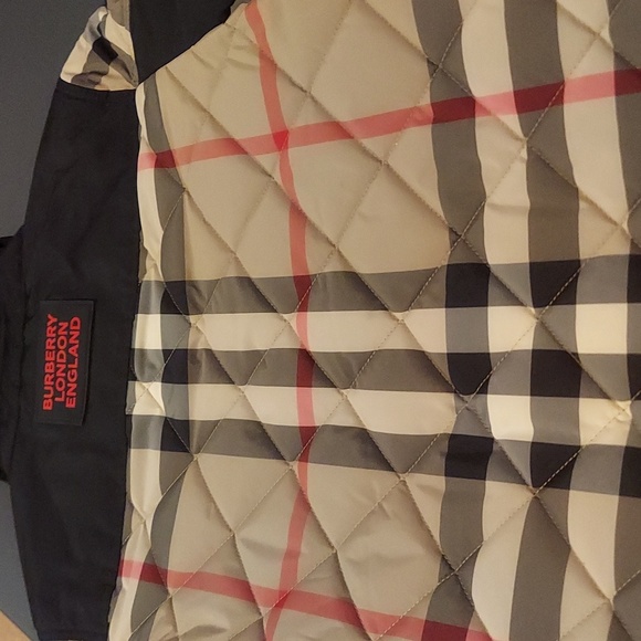 BURBERRY Children'S Renfred Quilted Jacket - Beige - Picture 6 of 7